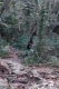 gal/Finale_paca_2005/_thb_mini-DSC_0120.JPG