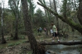 gal/Finale_paca_2005/_thb_mini-DSC_0130.JPG