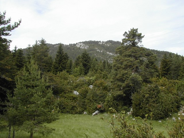 gal/IR_Andon/mini-DSCN5217.JPG