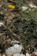 gal/Raid_Alpazur/_thb_mini-DSC_0115.JPG